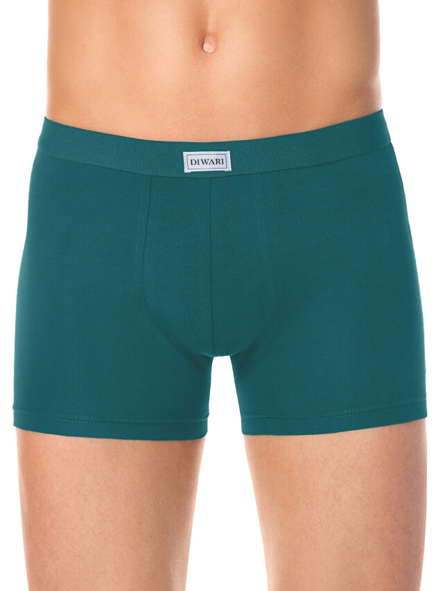 Труси чоловічі BASIC SHORTS 700 (в коробці),р.78, 82, turquoise - 2