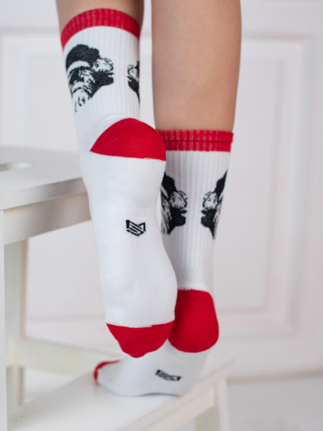 Шкарпетки MS M0304S Fancy, р.42-45, 44 білий - 3
