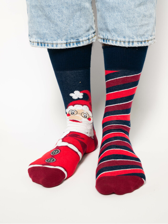 Шкарпетки чоловічі 136 41-43 109 темно-синій - 1