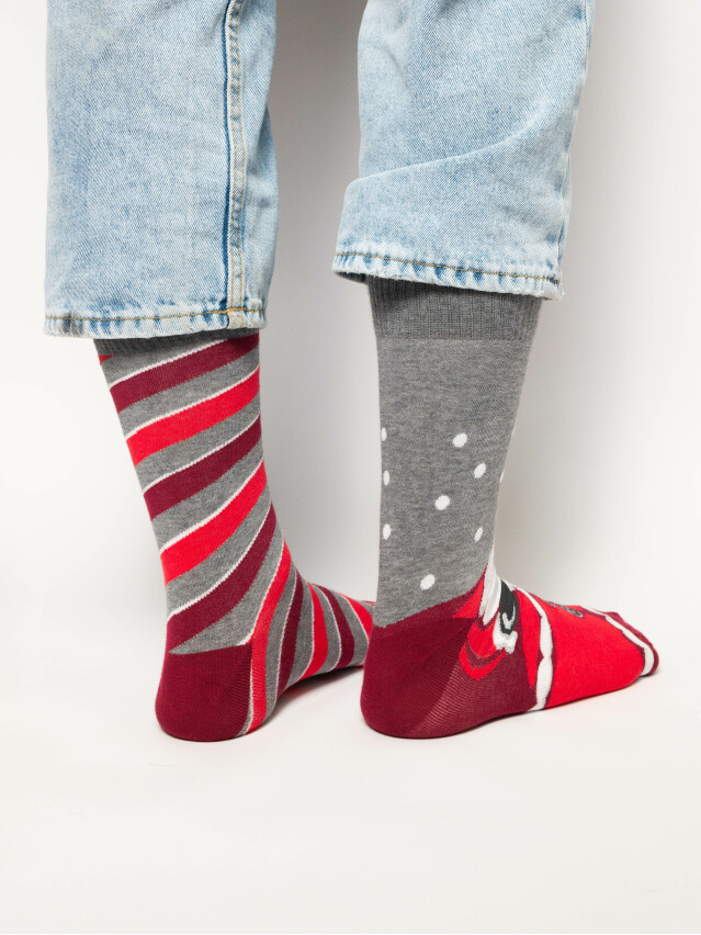 Шкарпетки чоловічі 136 41-43 108 сірий-меланж - 2