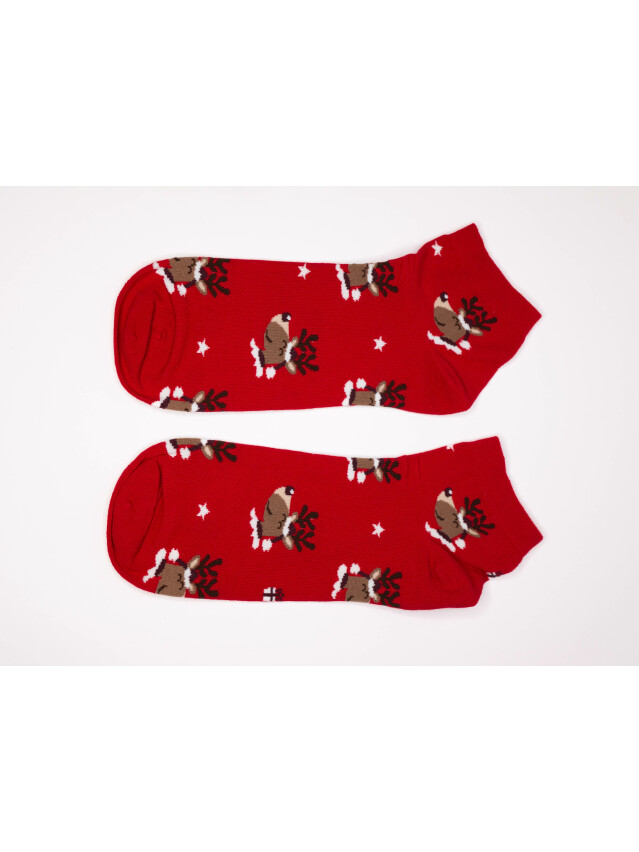 Шкарпетки жіночі 136 35-37 003 червоний - 4