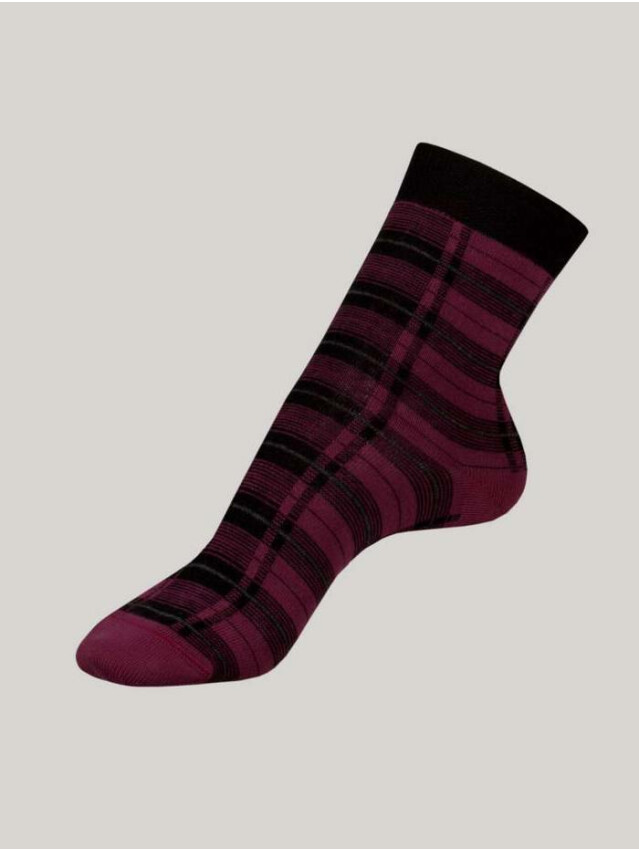 Шкарпетки жіночі бавовняні ESLI CLASSIC 15С-20СПЕ, р.23, 070 фіолетовий - 1