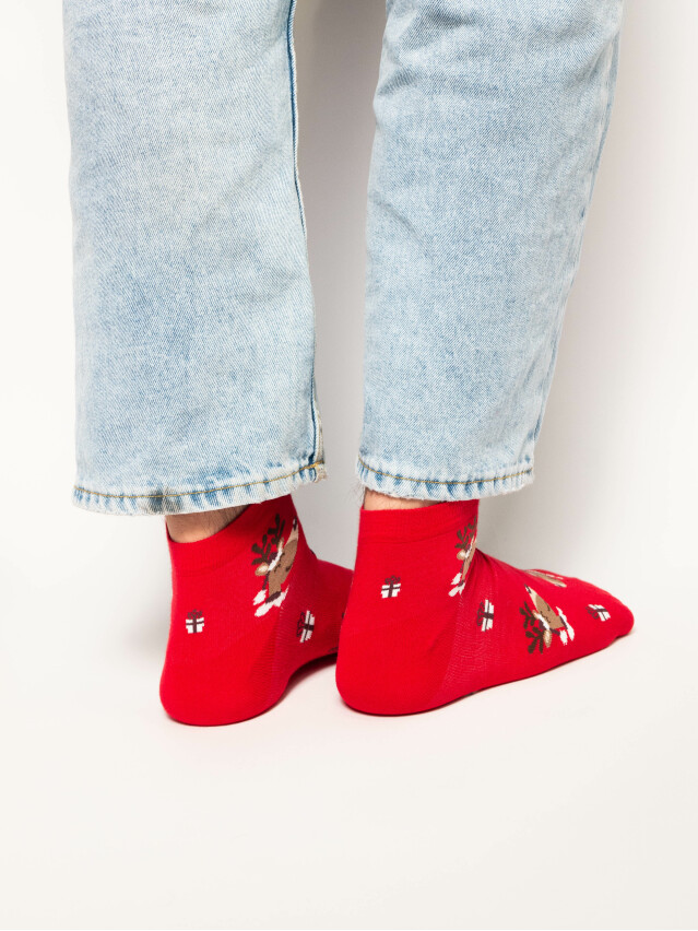 Шкарпетки чоловічі 136 41-43 003 червоний - 2