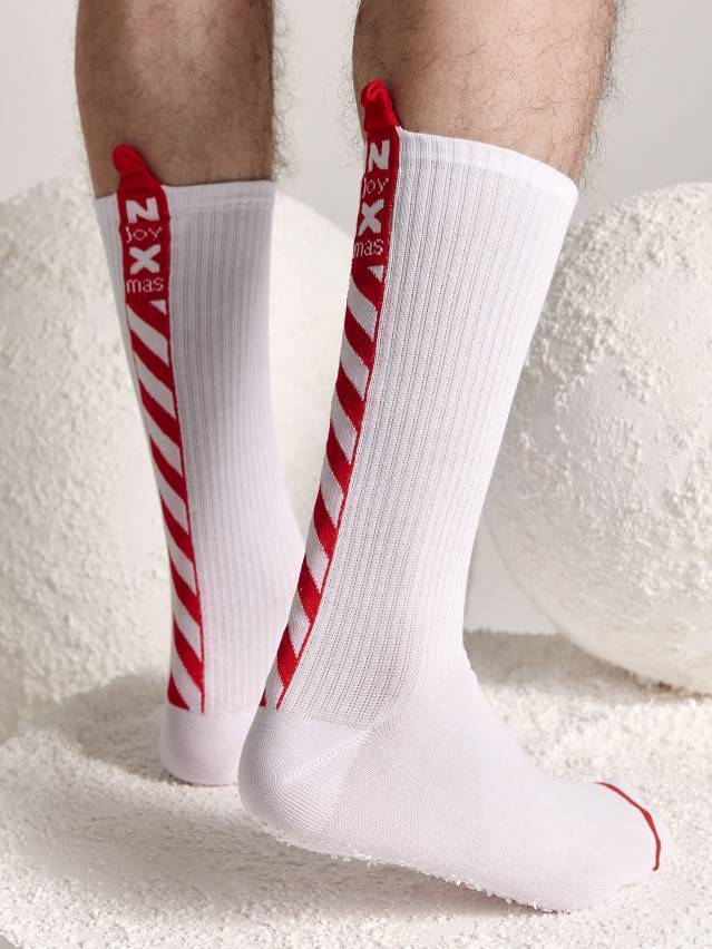 Шкарпетки чоловічі DW NEW YEAR 21С-32СП, р.42-45, 280 білий - 2
